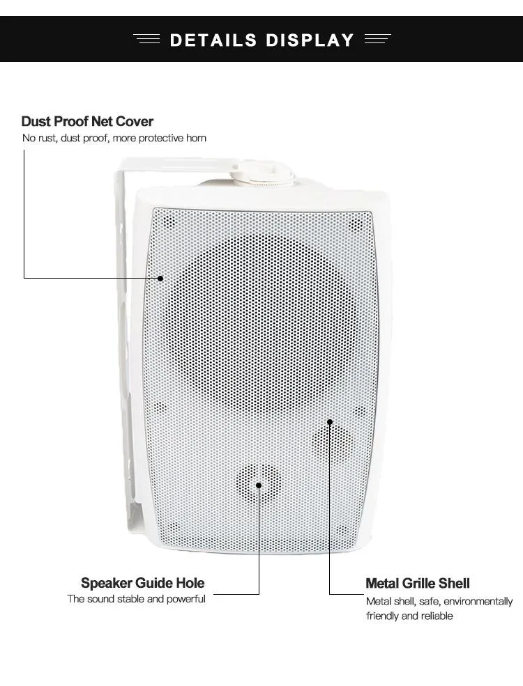 Wall Mount Outdoor Speaker with 100-20000Hz Frequency Response