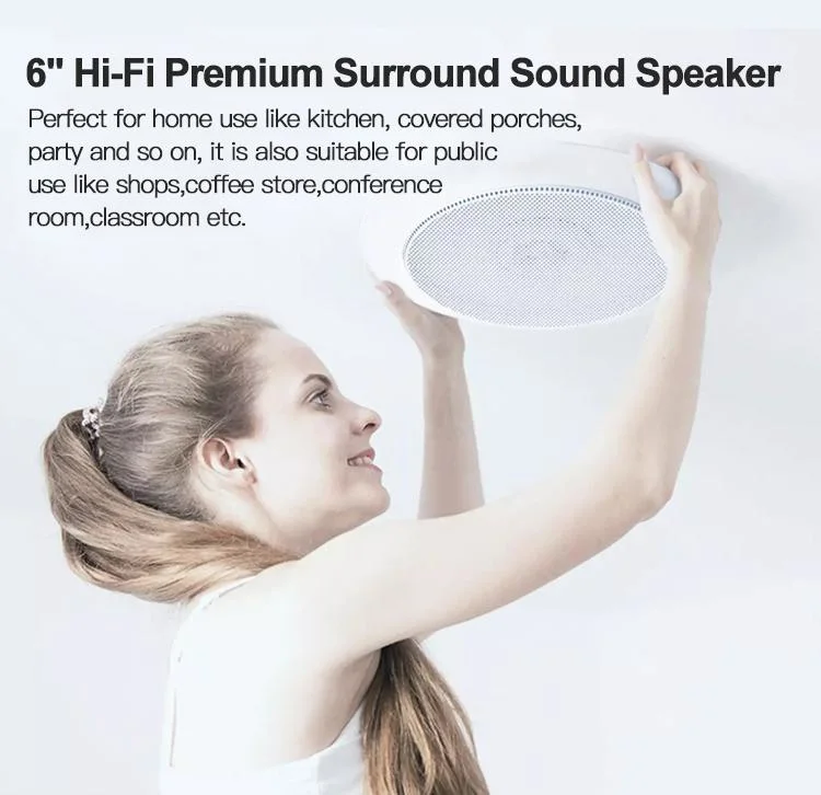 OEM Manufacturer Hi-Fi Ceiling Waterproof Speaker 3W